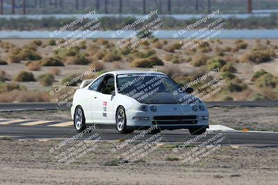 media/Oct-24-2025-Doghouse Garage (Fri) [[783d2ff07a]]/1-Advanced/Session 2 Turn 5 Tree of Life/